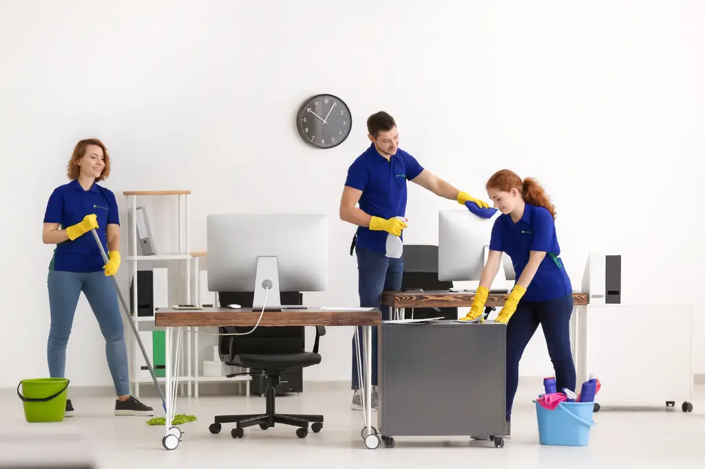 Professional cleaning team in Wetherill Park