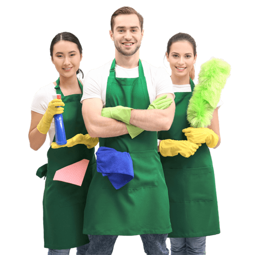 Professional cleaners in Wetherill Park with cleaning supplies
